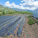 현자농장 이미지