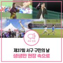 서구-37 | [구민의날 후기] 37번째 서구 구민의날 2025! 서동이가 전하는 축제 현장 속으로