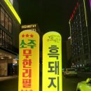 초유달538 네이버블로그