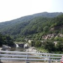 월성민박 이미지