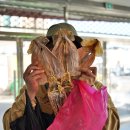 고흥녹동회타운 | 전라도 여행 코스 추천 고흥 녹동항 녹동회타운 건어물판매장 등