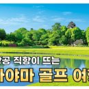 마니본영상