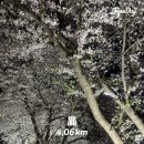 아미수청과 | 일상조각 10