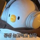 강촌보쌈 | 찰칵, 7월의 흔적