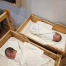 (주)지율 | 강북 햇빛병원 산후조리원 쌍둥이 출산 후기 (1일~5일)
