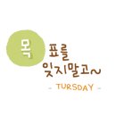 르번미스타필드