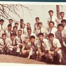 양지-10 이미지