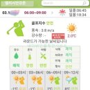 엘리시안 강촌 골프연습장 | 엘리시안강촌CC 후기 힐, 밸리코스 2026년 3월중순 라운딩