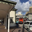 설렘도고 이미지