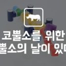 코뿔소 PC 이미지