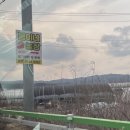 봄이네 농장 | [포항]아이랑 딸기체험 내돈내산 후기 : 흥해 봄이네 농장