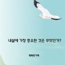내삶에 가장 중요한 것은 무엇인가? 이미지