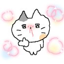 영광족발 이미지