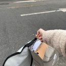 강헤어 | W14. 콜레트 스튜디오 촬영 후기 feat. 여진작가님 ,헤어메이크업 강은 후기