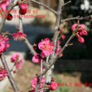 광시면016 이미지