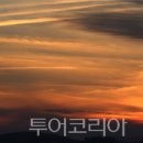 (주)용현코리아