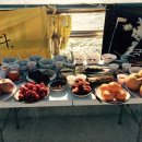 팽목수산