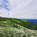 육백마지기 이미지