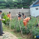 지곡119안전센터 이미지