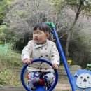 나무그림펜션 | 횡성 가볼만한 곳- 나무그림키즈펜션 가본 후기