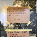보운분식 - 부여군 중앙로13번길 23-5 | 보운분식