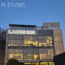 용인대형카페 라쿠스205 용인카페 추천 카페후기