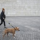 자동산책길 이미지