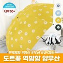 모노도트
