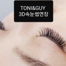 토니네일속눈썹