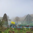 신영농원 이미지