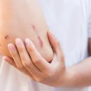 우리집강아지 이미지