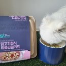 위클리밀 이미지