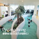 씨-스페이스 발전소점 | 모나용평 워터파크 피크아일랜드｜아이동반 실내·야외 이용정보