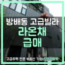 라온채 네이버블로그