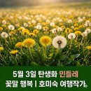 민들레농장 | 5월 3일 탄생화 (민들레) 꽃말·유래·효능·키우기