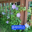 새예루살램