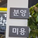 야옹아멍멍해봐 송파위례점 이미지