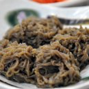 본동물회 이미지