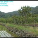 구산면517 이미지