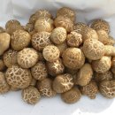 주원농장 이미지