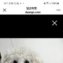 주안8동윤성아파트 이미지