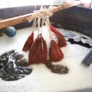 영농조합법인 킹스파머스 이미지