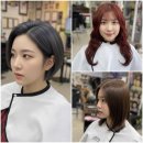 헤어두비취 이미지