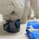 최정언산양목장 이미지