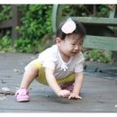 오르비스펜션 이미지