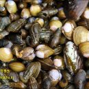 적량주유소 이미지