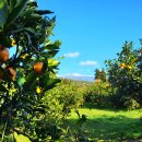 두화농장 이미지