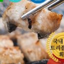 기찬장어