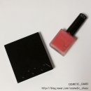 어딕션 (ADDICTION) 섀도우 &amp; 치크폴리쉬 구매후기+발색