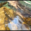 작은시장 횟집 이미지